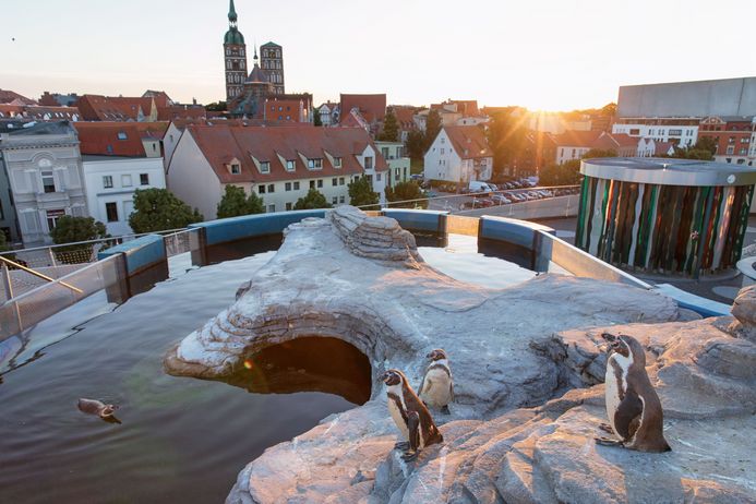 Blick von der Dachterrasse des OZEANEUMs auf die Stralsunder Altstadt