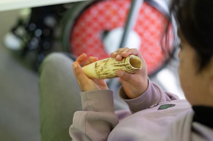 Ein Mädchen schaut auf einen etwa 16 cm langen Elfenbeinzahn, den sie in den Händen hält.