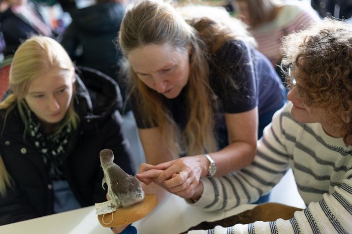 Die Museumspädagogin führt die Hand eines Jungen. So kann er das hauchfeine Daunenkleid eines Pinguinkükens erspüren.