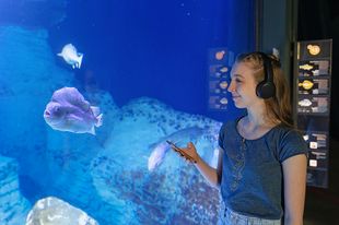 Eine junge Frau mit Kopfhörern und Mobiltelefon steht vor einem Aquarium, in dem Fische schwimmen.