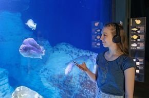 A young woman with the audioguide in front of an aquaria.