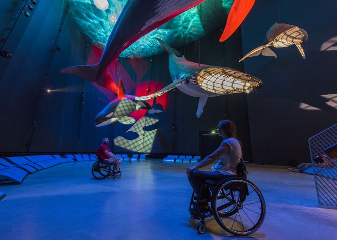 Zwei Personen im Rollstuhl in der Ausstellung 1:1 Riesen der Meere, in der Gäste unter Walmodellen in Originalgröße eine Multimediashow genießen können.